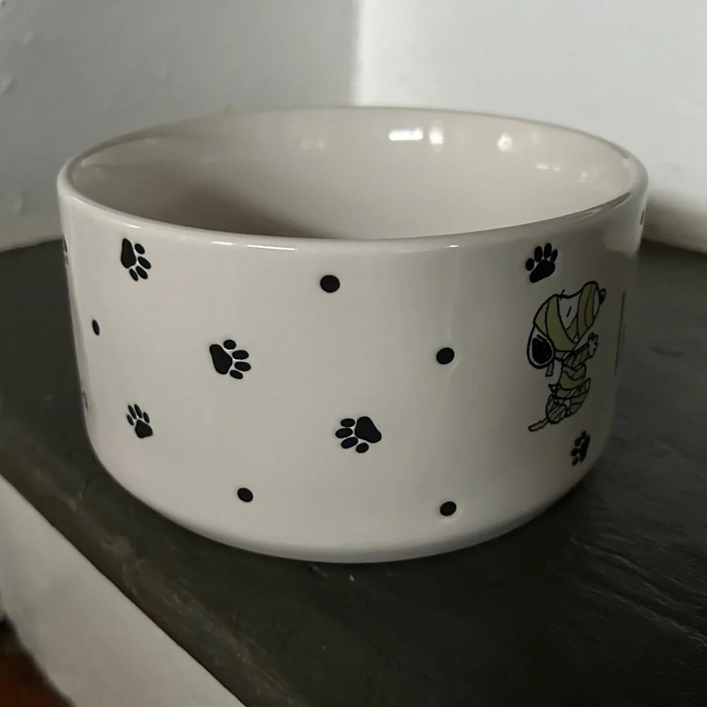 Rae Dunn WICKED CUTE Bowl